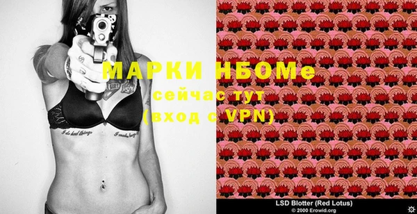 ПСИЛОЦИБИНОВЫЕ ГРИБЫ Магас