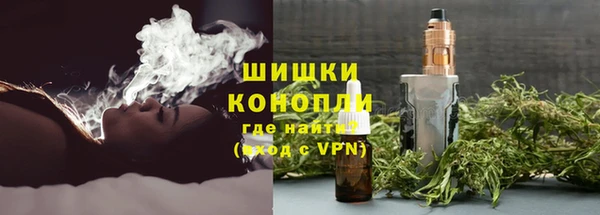 ПСИЛОЦИБИНОВЫЕ ГРИБЫ Магас