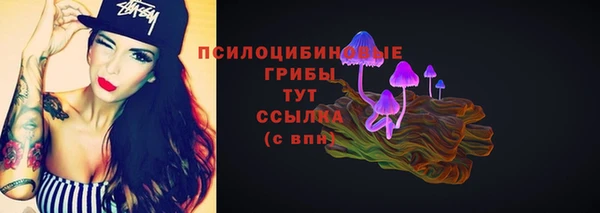 ПСИЛОЦИБИНОВЫЕ ГРИБЫ Магас