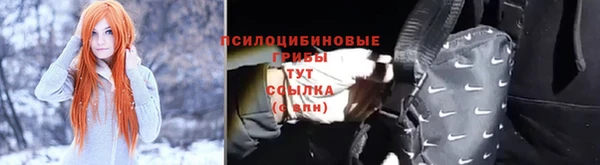 ПСИЛОЦИБИНОВЫЕ ГРИБЫ Магас
