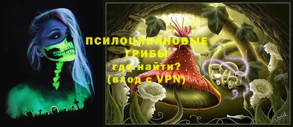 ПСИЛОЦИБИНОВЫЕ ГРИБЫ Магас