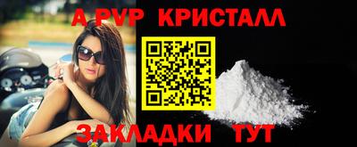 шишки Берёзовский